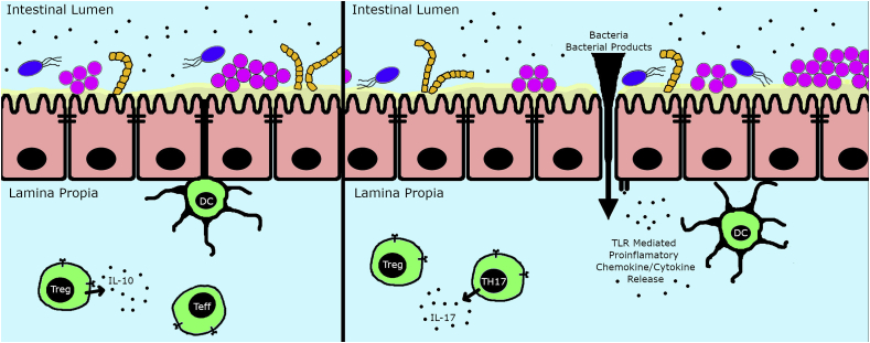 Fig. 1