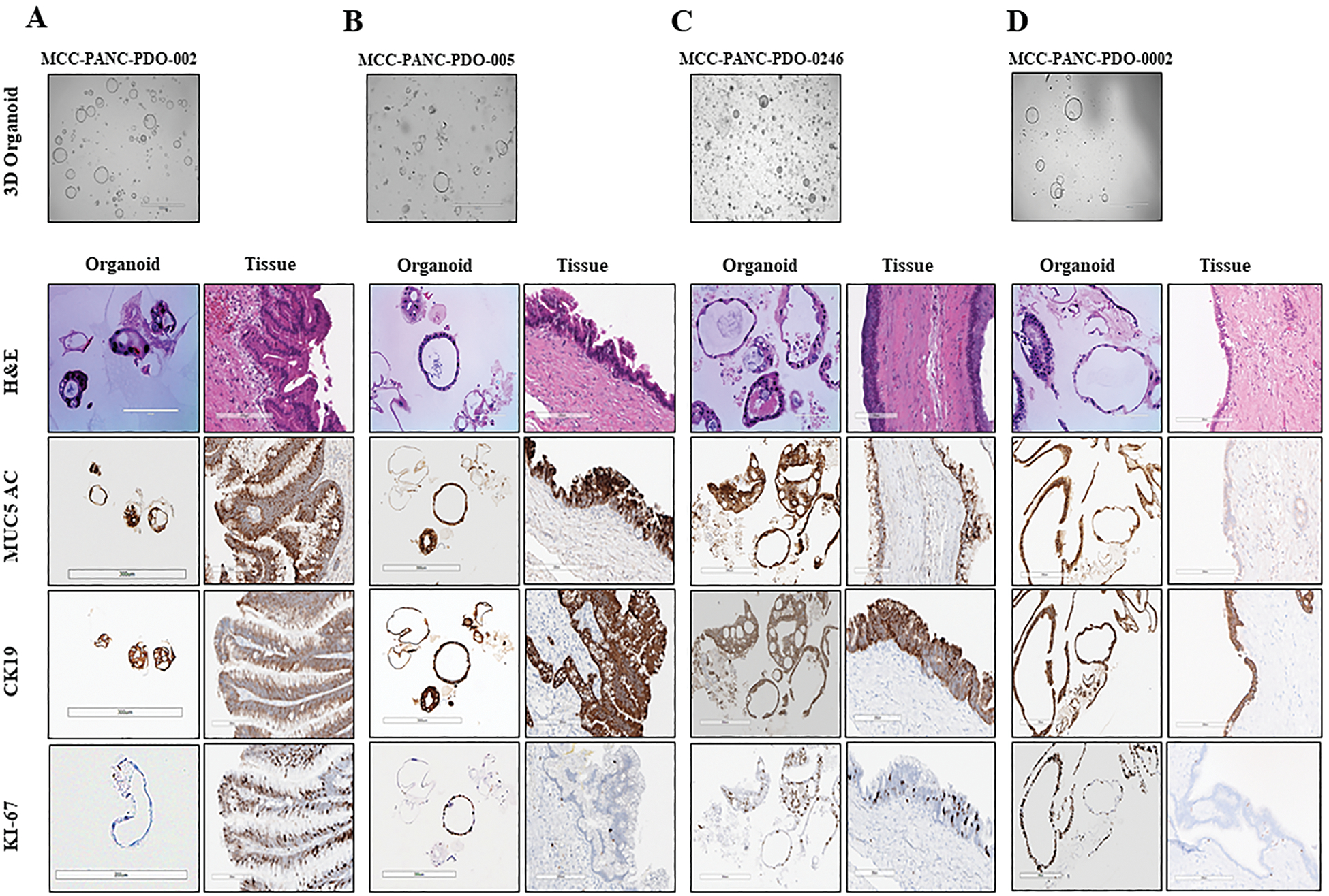 Figure 4.