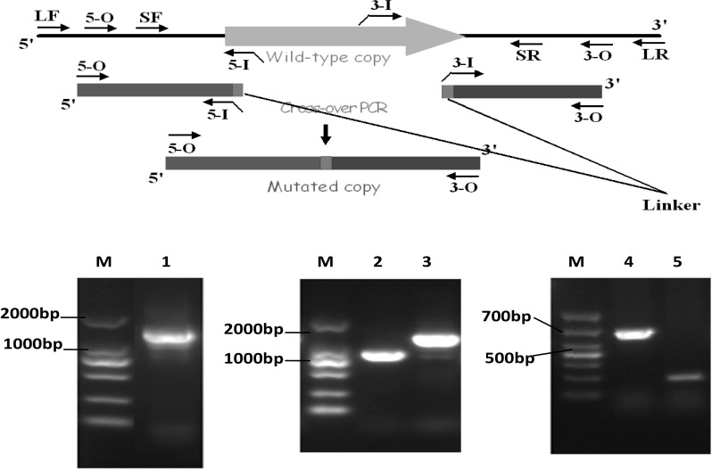 Fig. 1