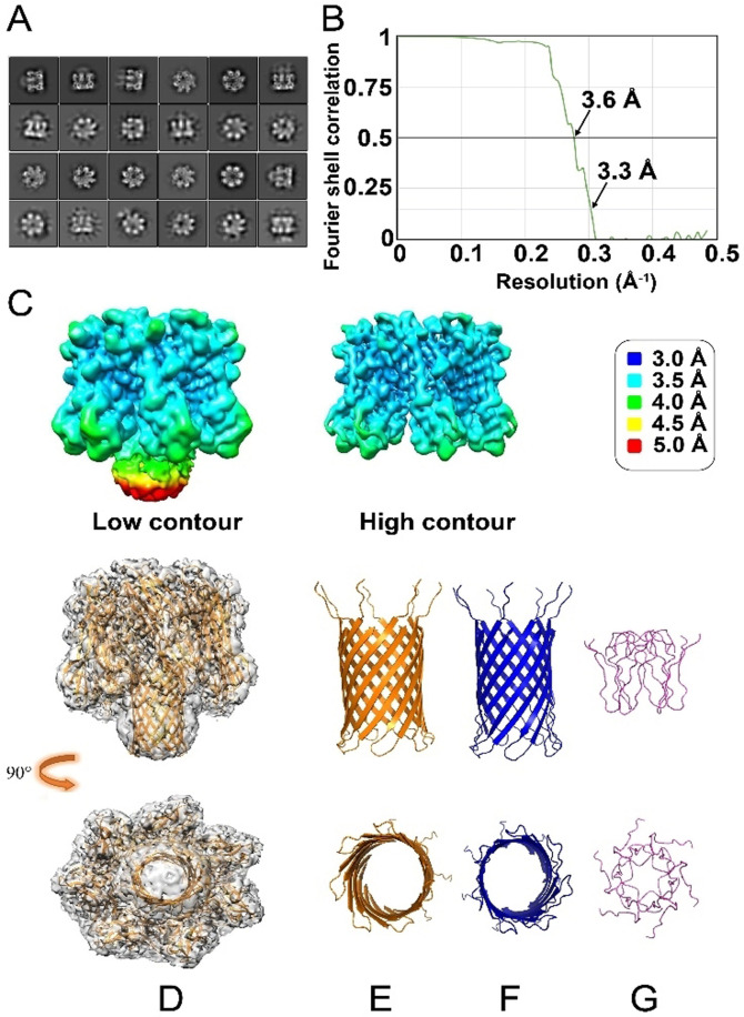 Figure 6