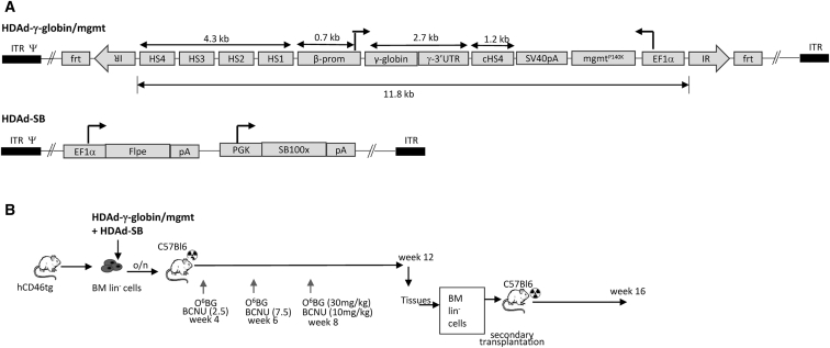 Figure 1