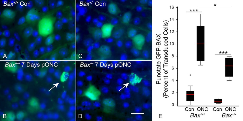 Figure 3: