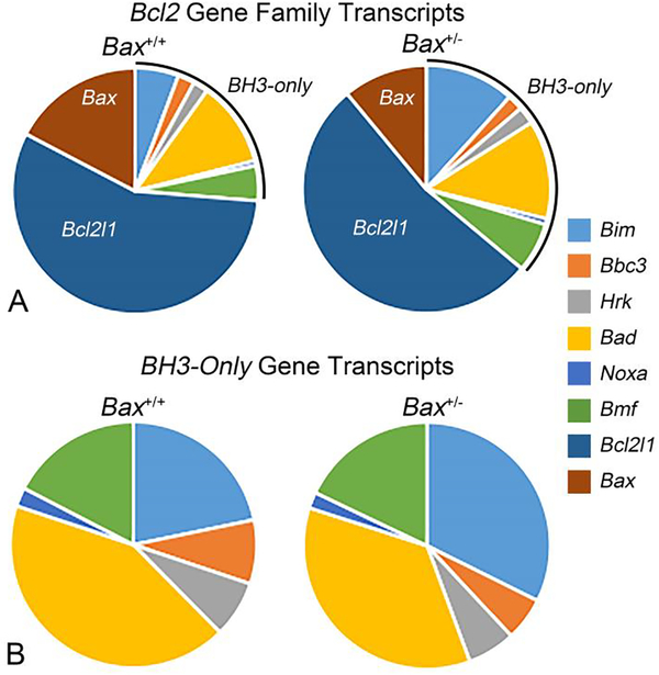 Figure 6: