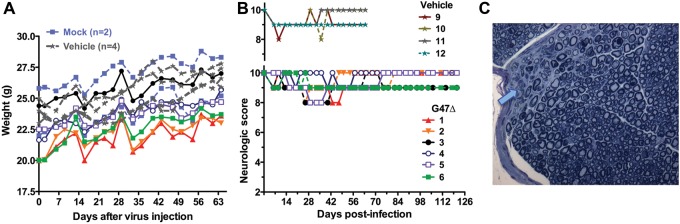 Fig. 4.