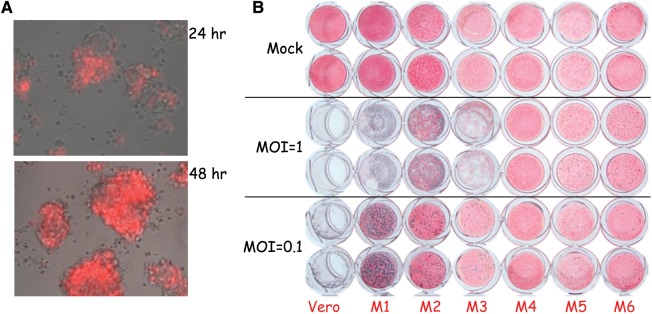 Fig. 2.