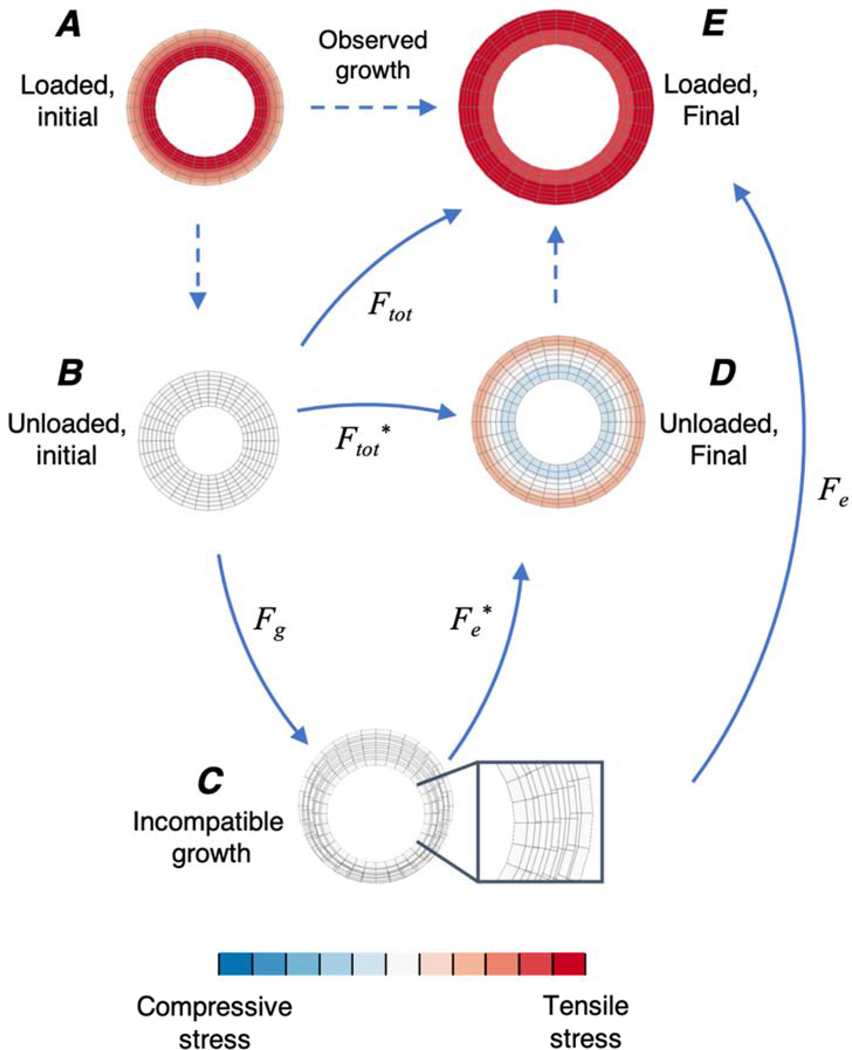 Figure 1: