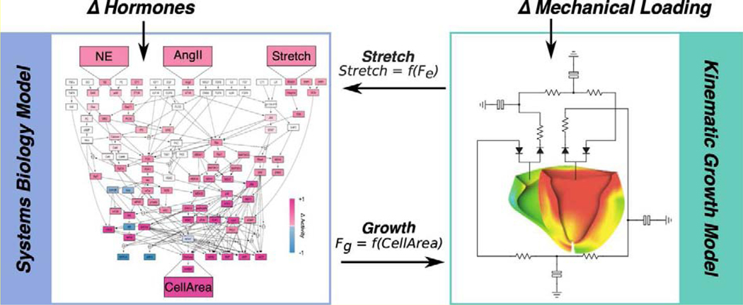 Figure 2: