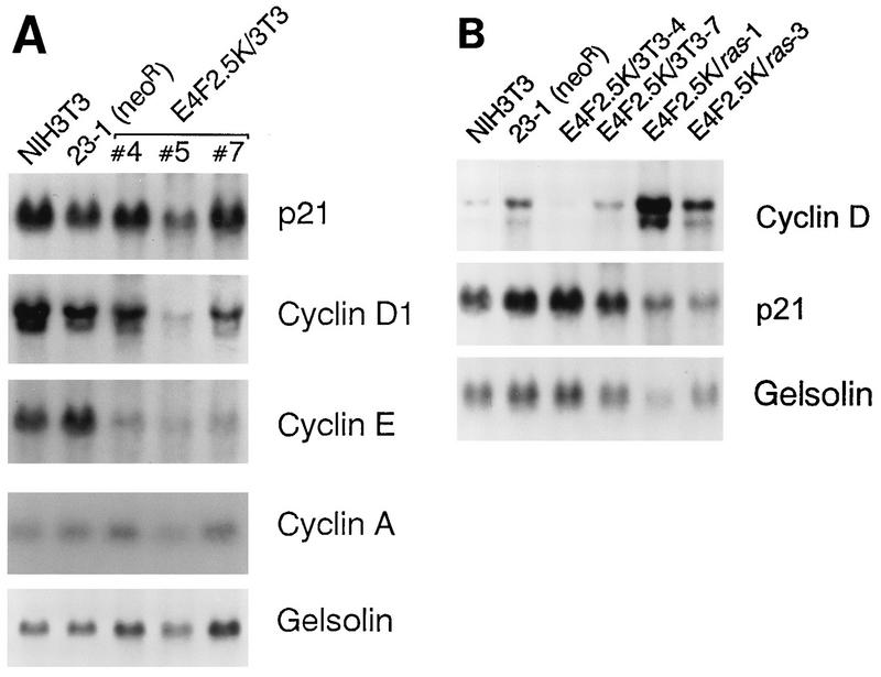 FIG. 6