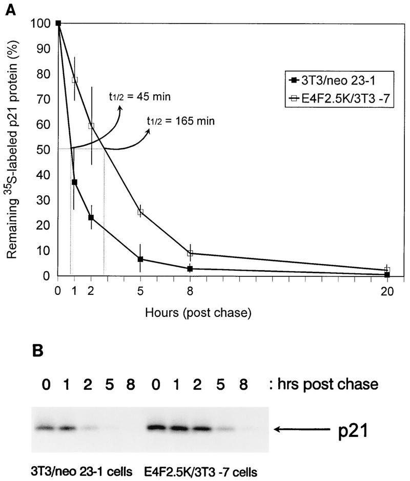 FIG. 7