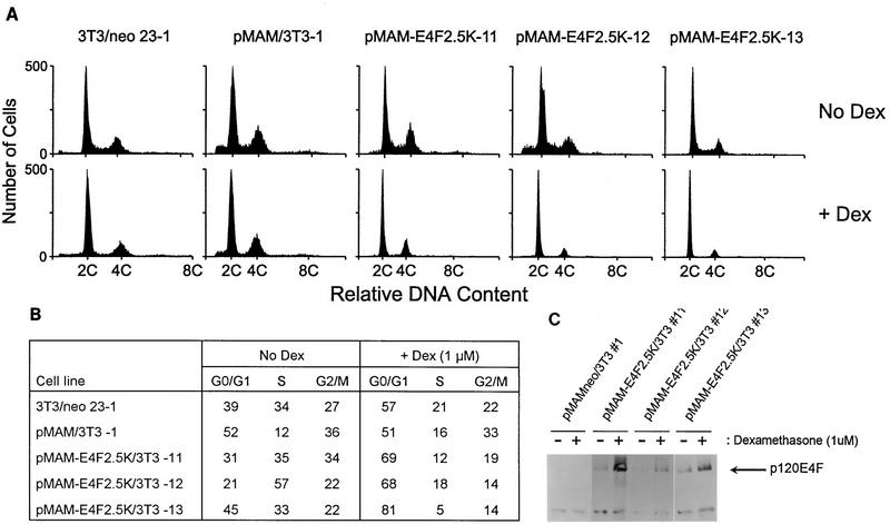 FIG. 4