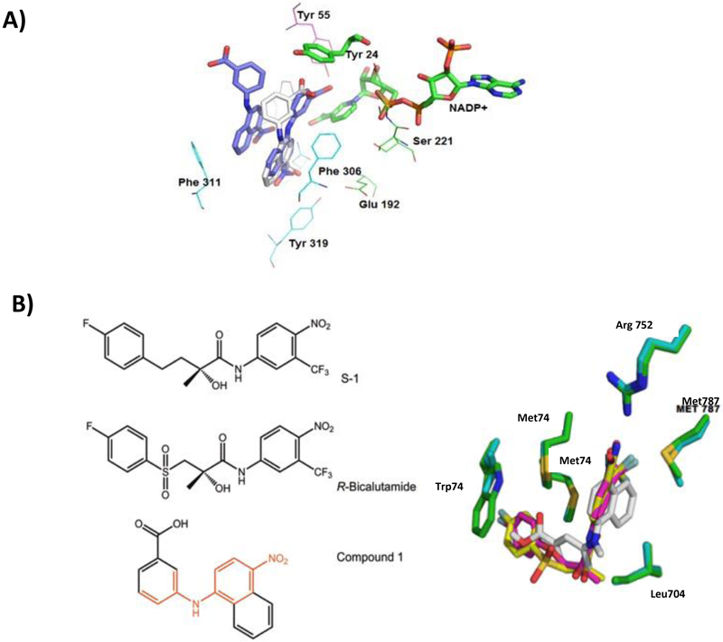 Figure 11.