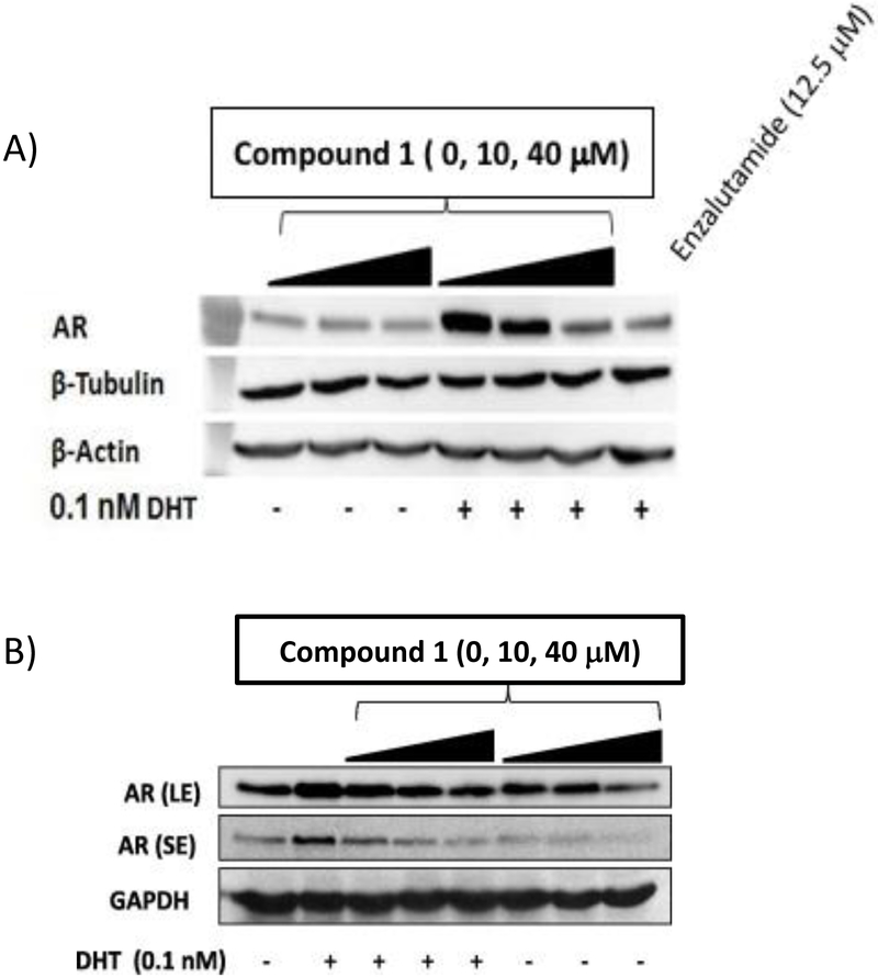 Figure 10.