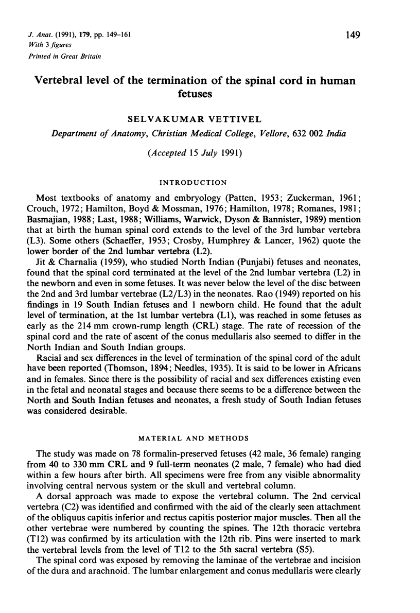 Vertebral level of the termination of the spinal cord in human fetuses ...