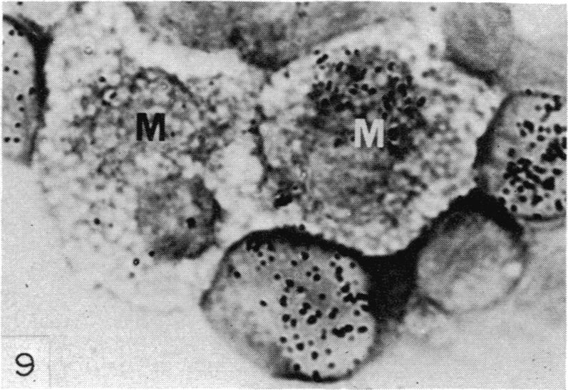 FIG.9