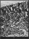 478-3