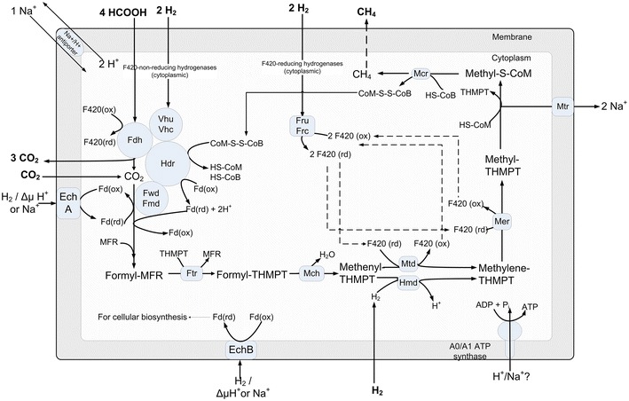 Fig. 3