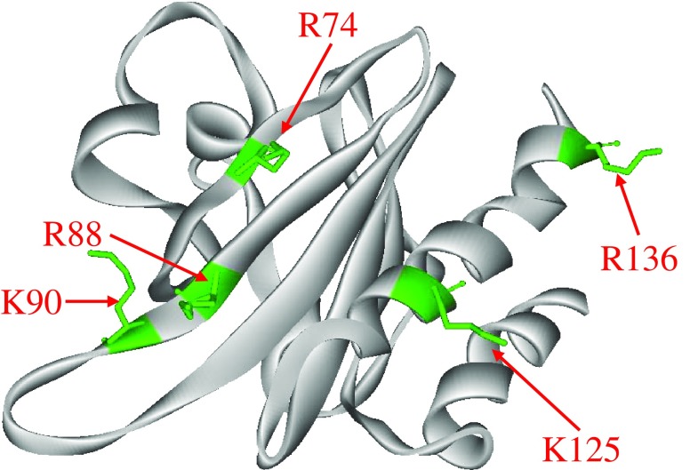 Fig. 5