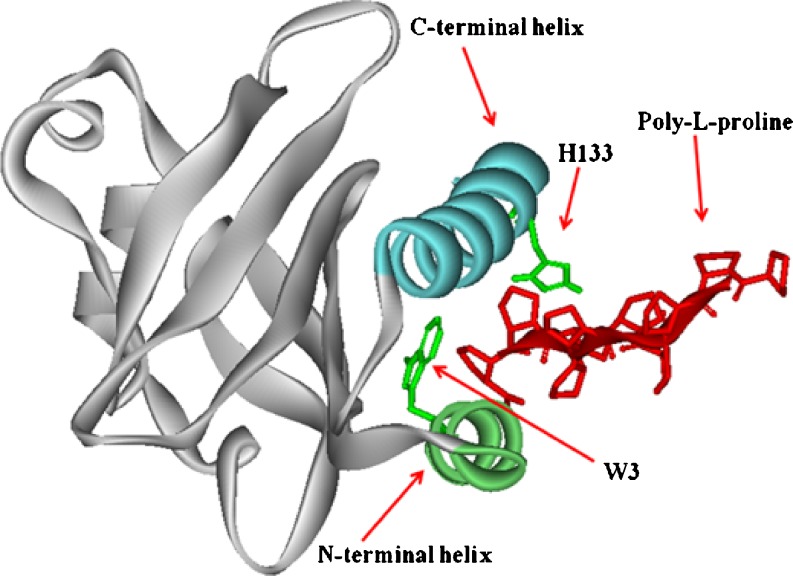 Fig. 7