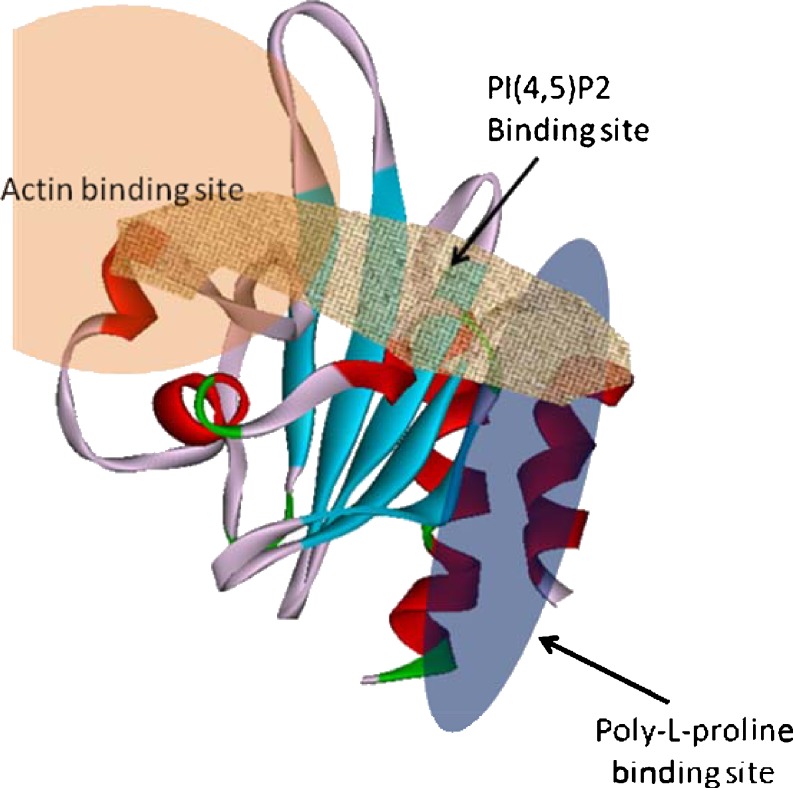 Fig. 6