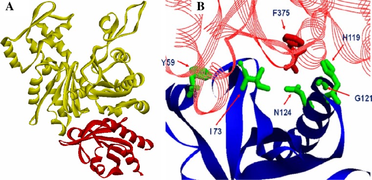 Fig. 4