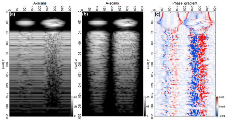 Fig. 10