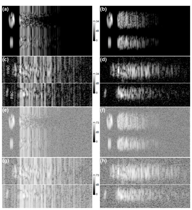 Fig. 12