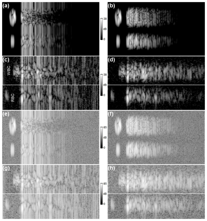 Fig. 11