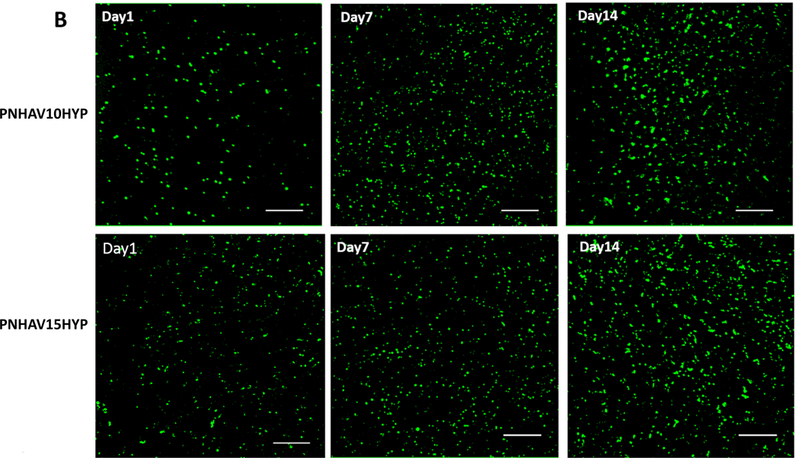 Figure 6.