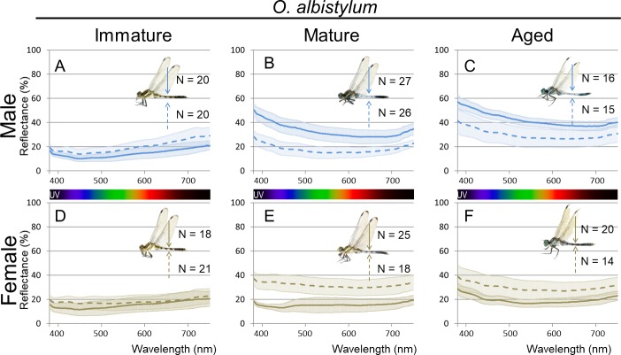 Figure 2—figure supplement 1.