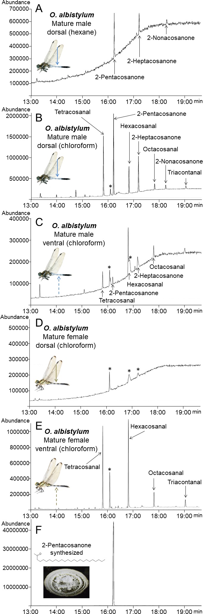 Figure 5.