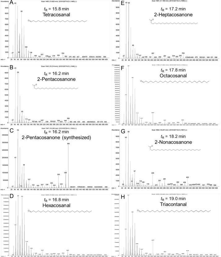 Figure 5—figure supplement 1.