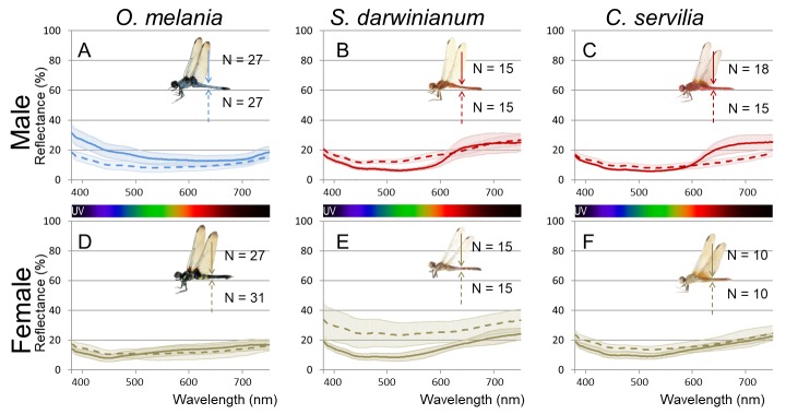 Figure 7—figure supplement 1.