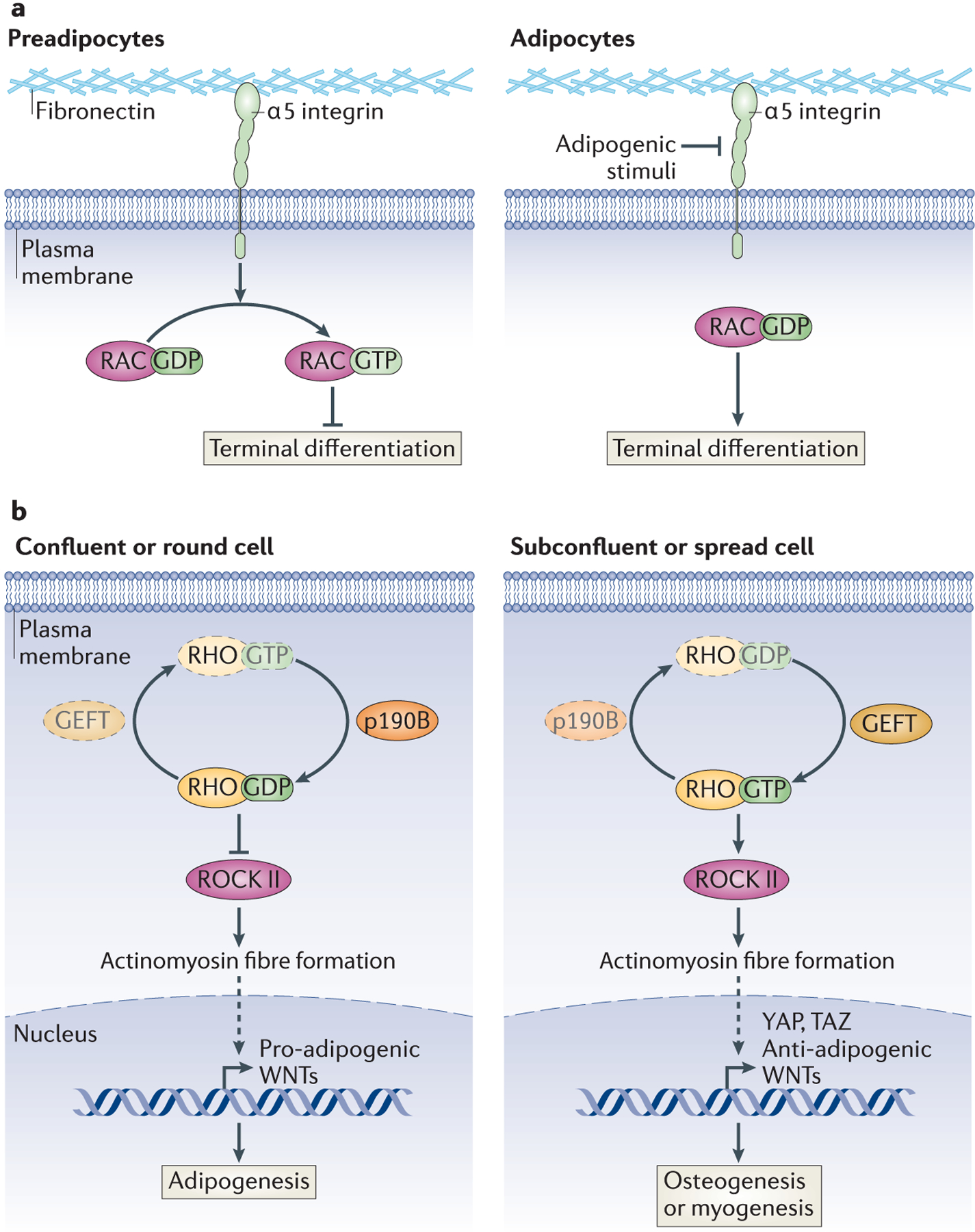 Figure 4: