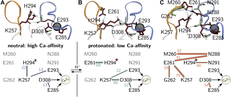 Figure 5