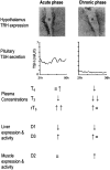 <b>FIG. 1.</b>