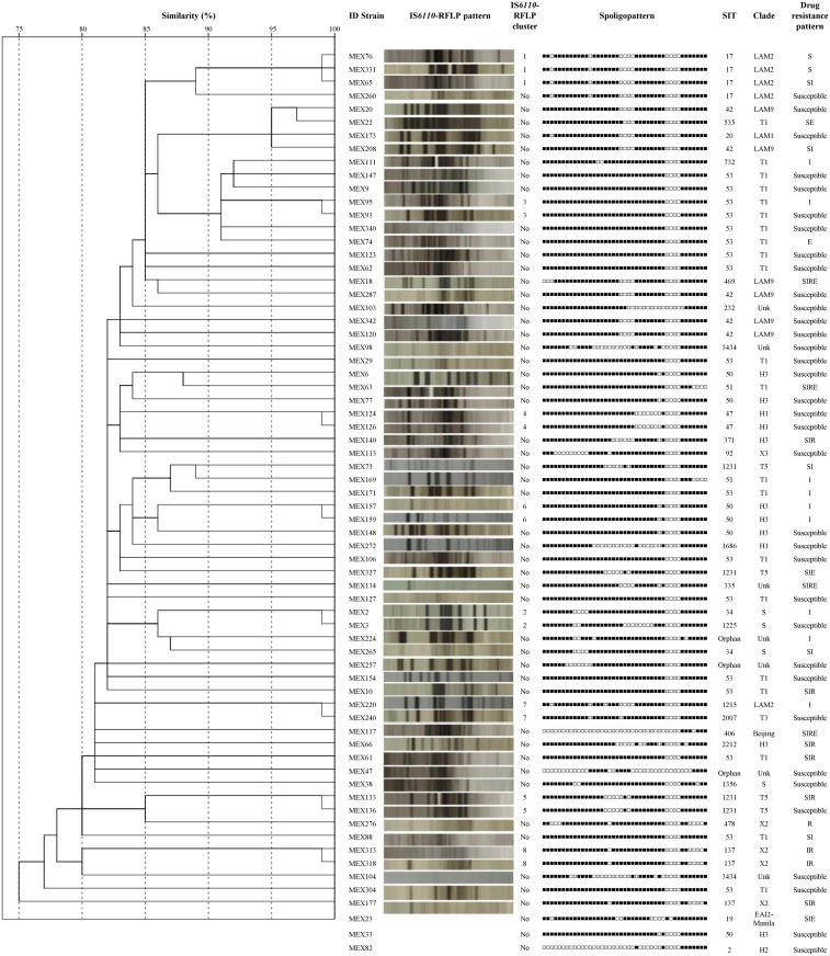 Fig 2