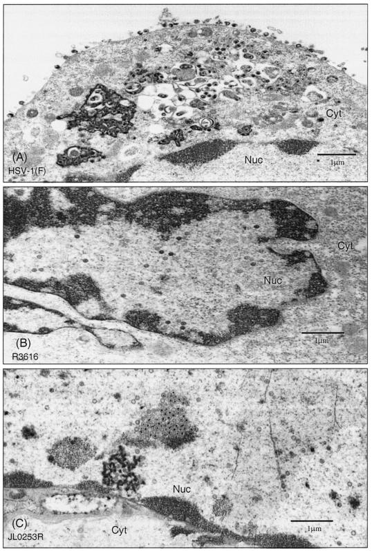 FIG. 5.