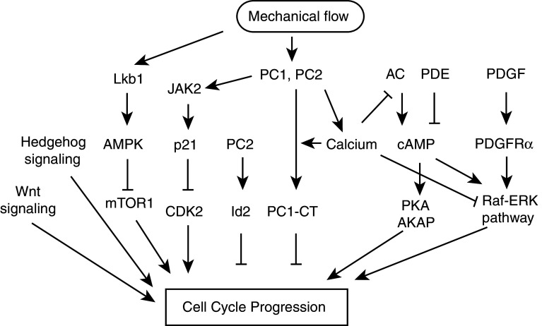 Fig. 3