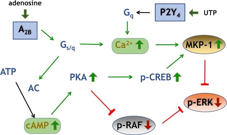 Fig 10