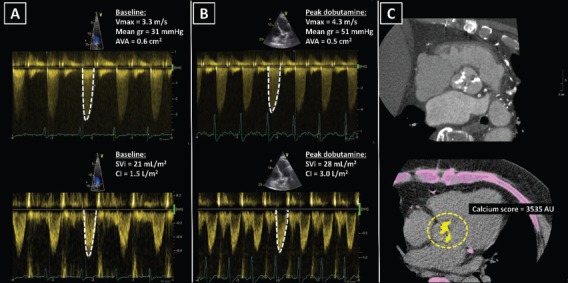 Figure 4: