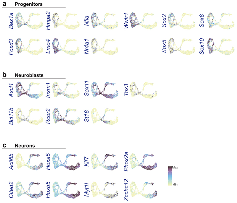 Extended Data Fig. 9