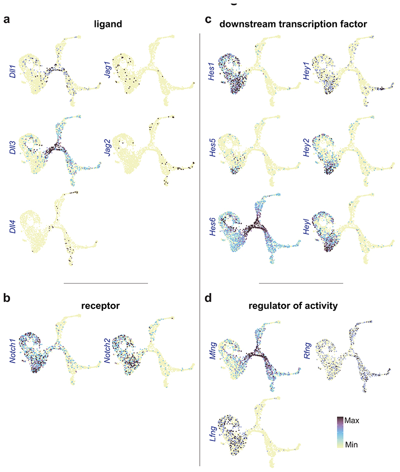 Extended Data Fig. 8