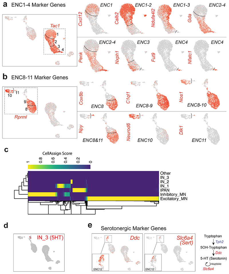 Extended Data Fig. 2