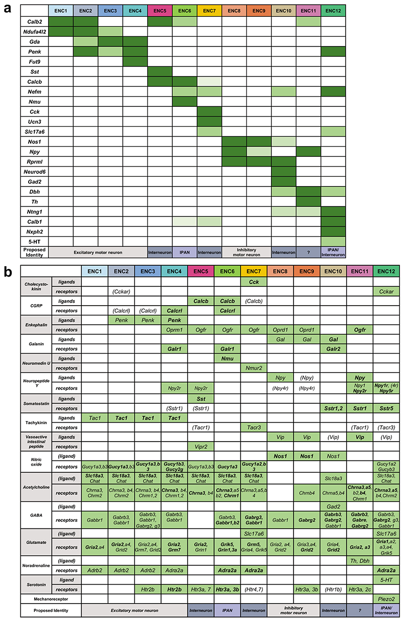 Extended Data Fig. 4