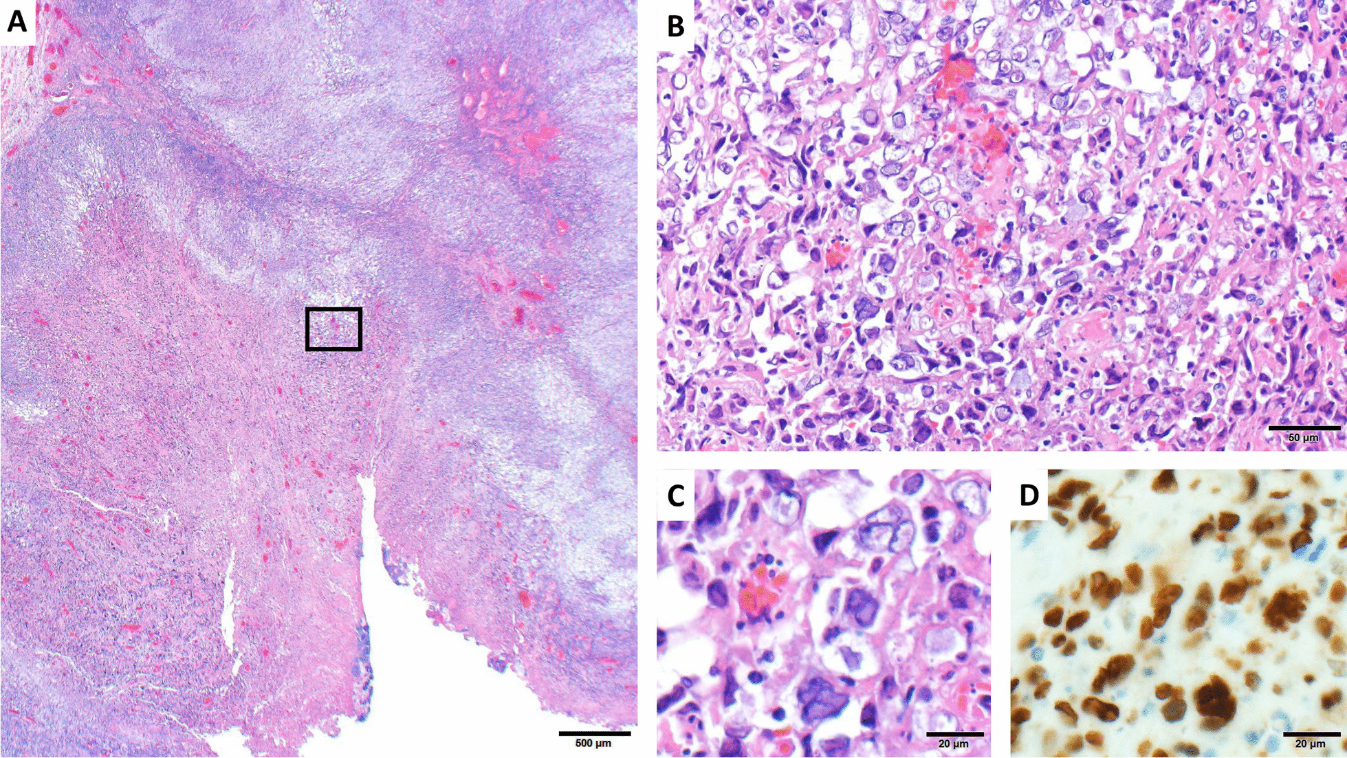 Fig. 2