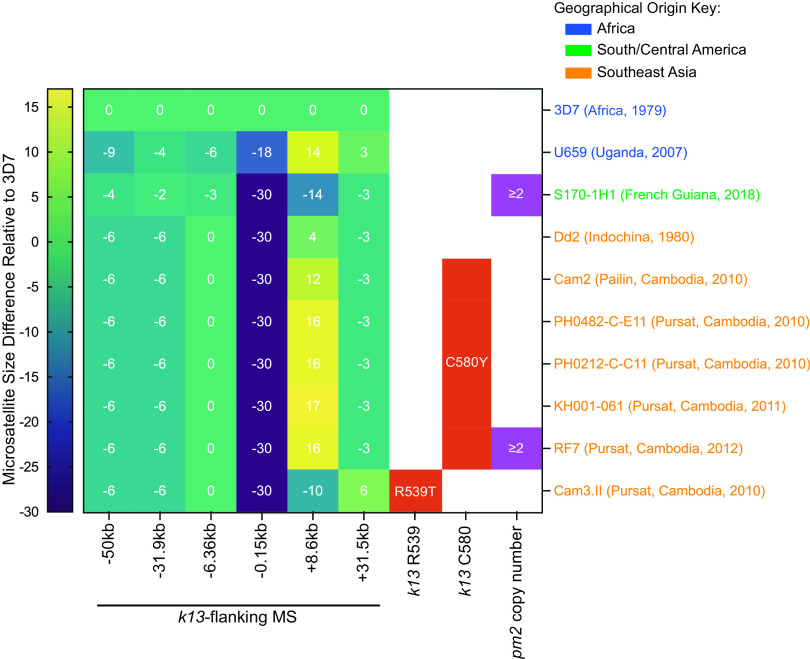 FIG 6