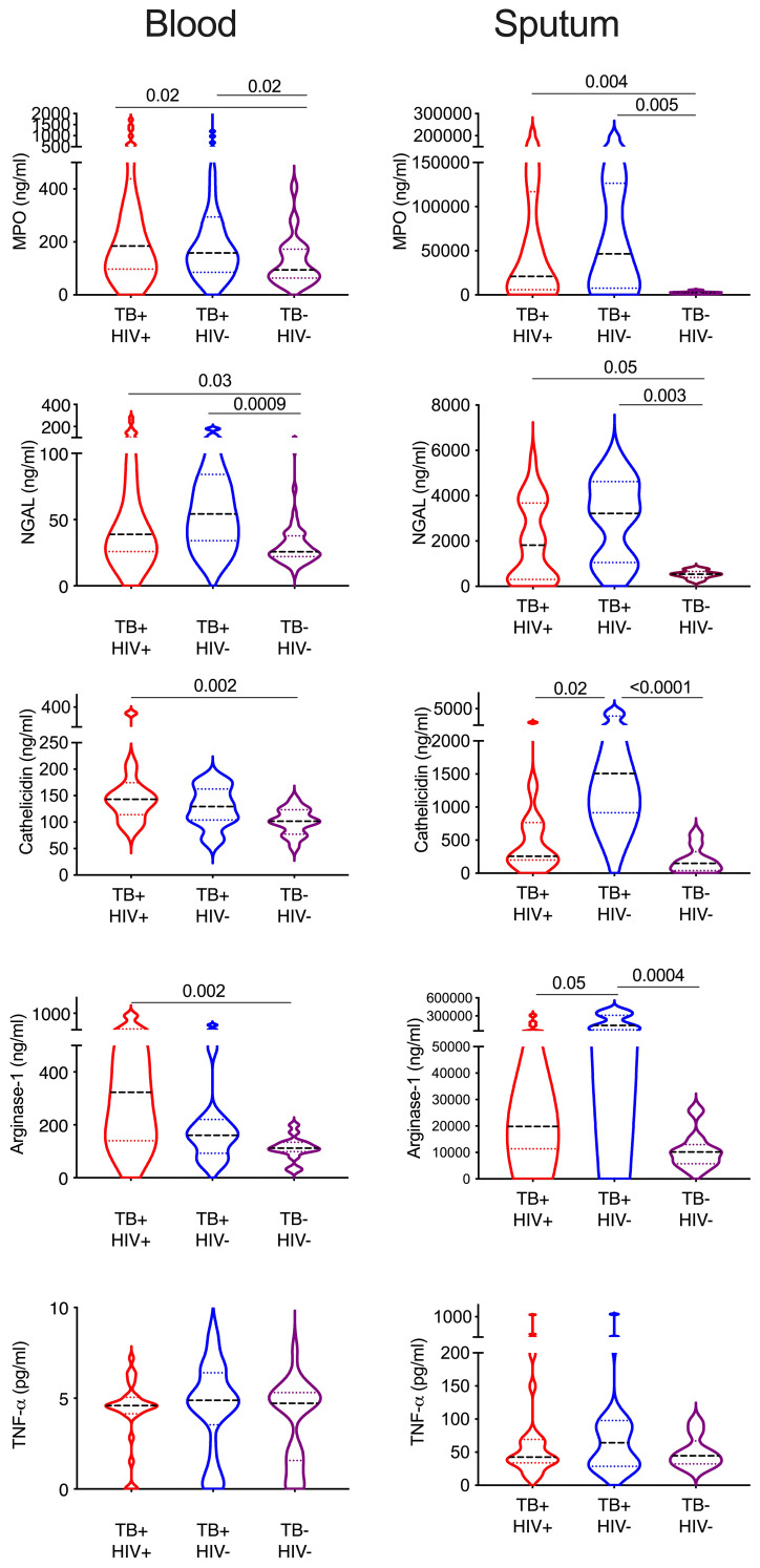 Figure 6