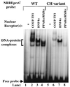 FIG. 7