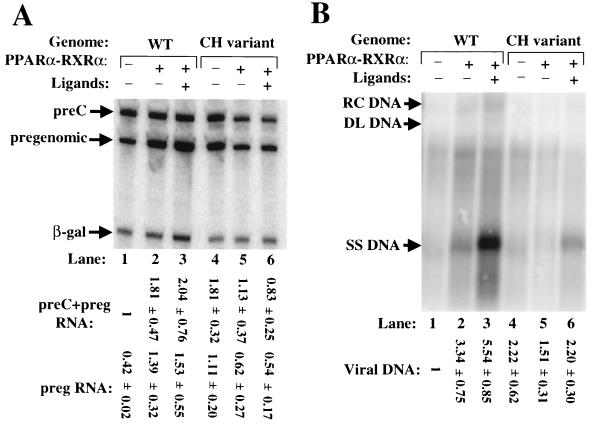 FIG. 8