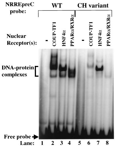 FIG. 7